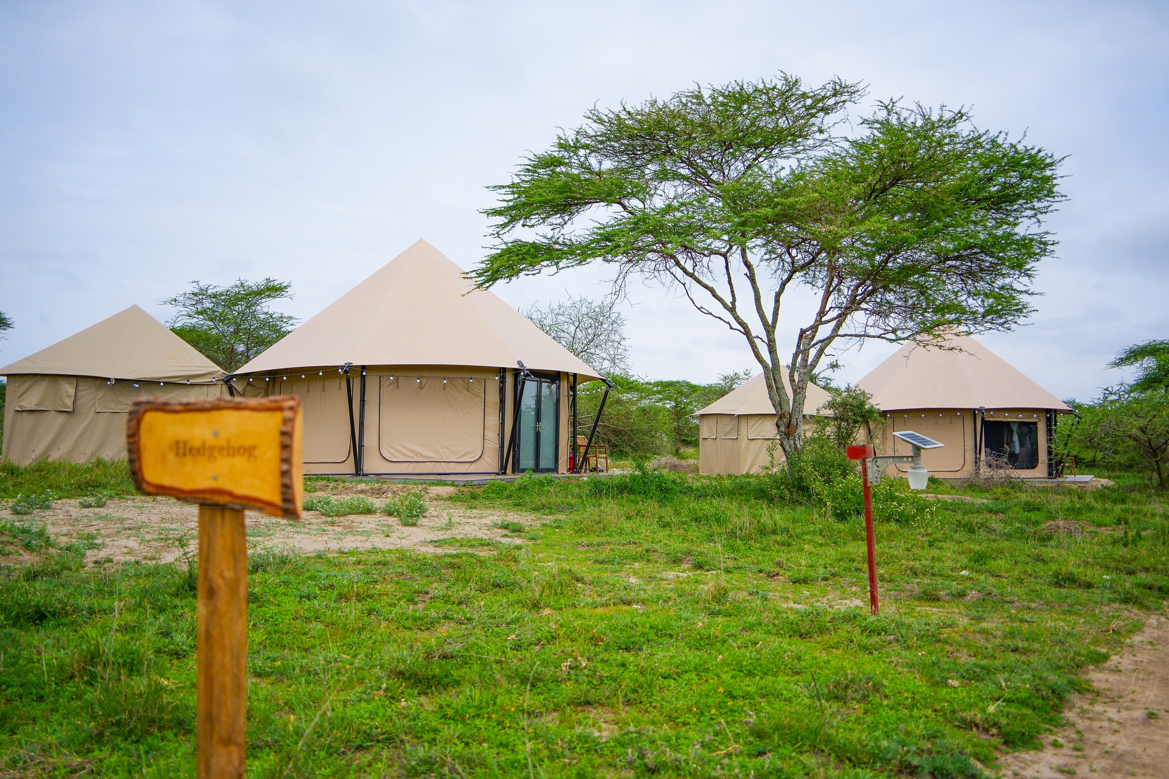 Mara River tent interior