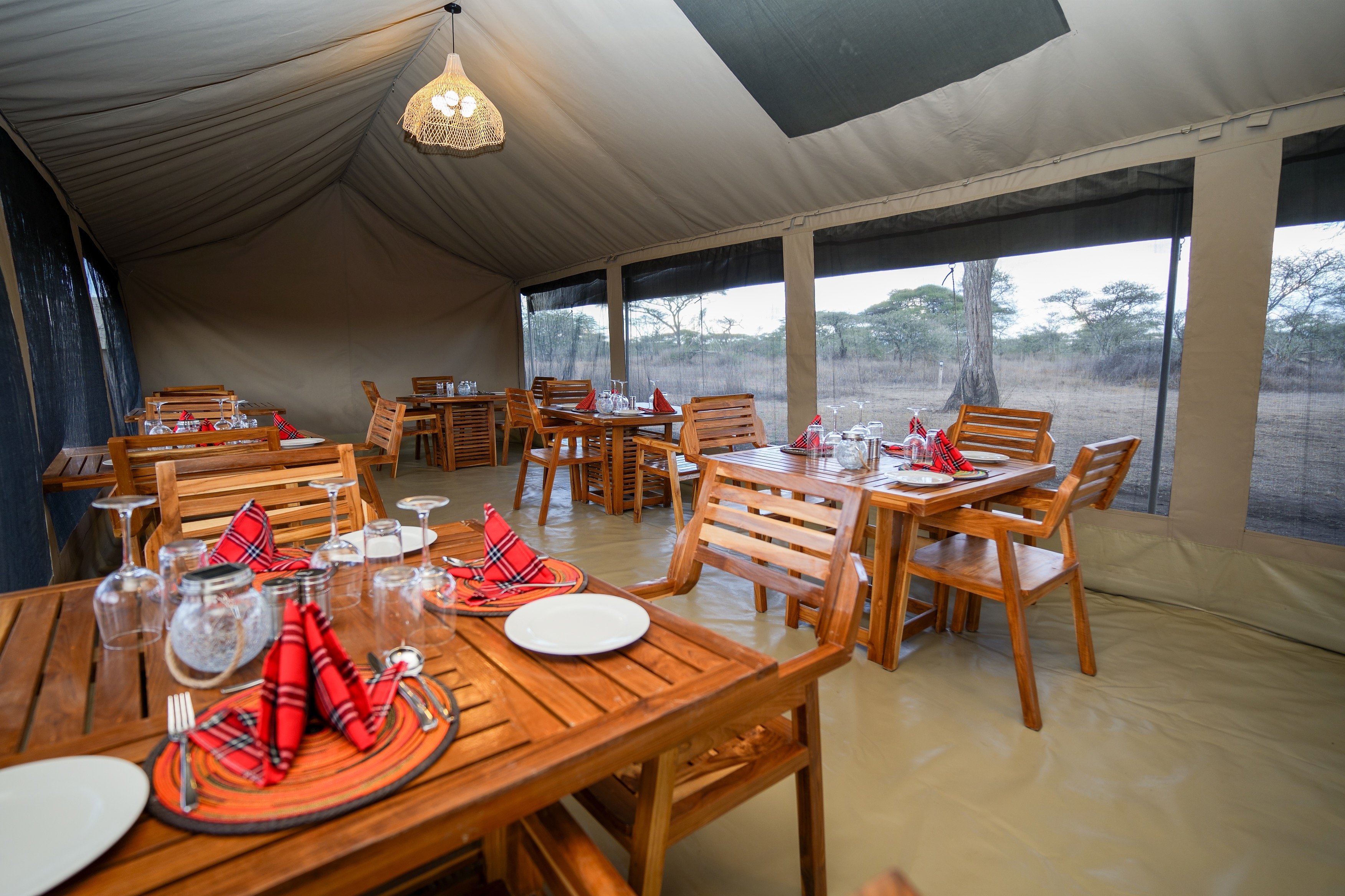 Ndutu migration dining one