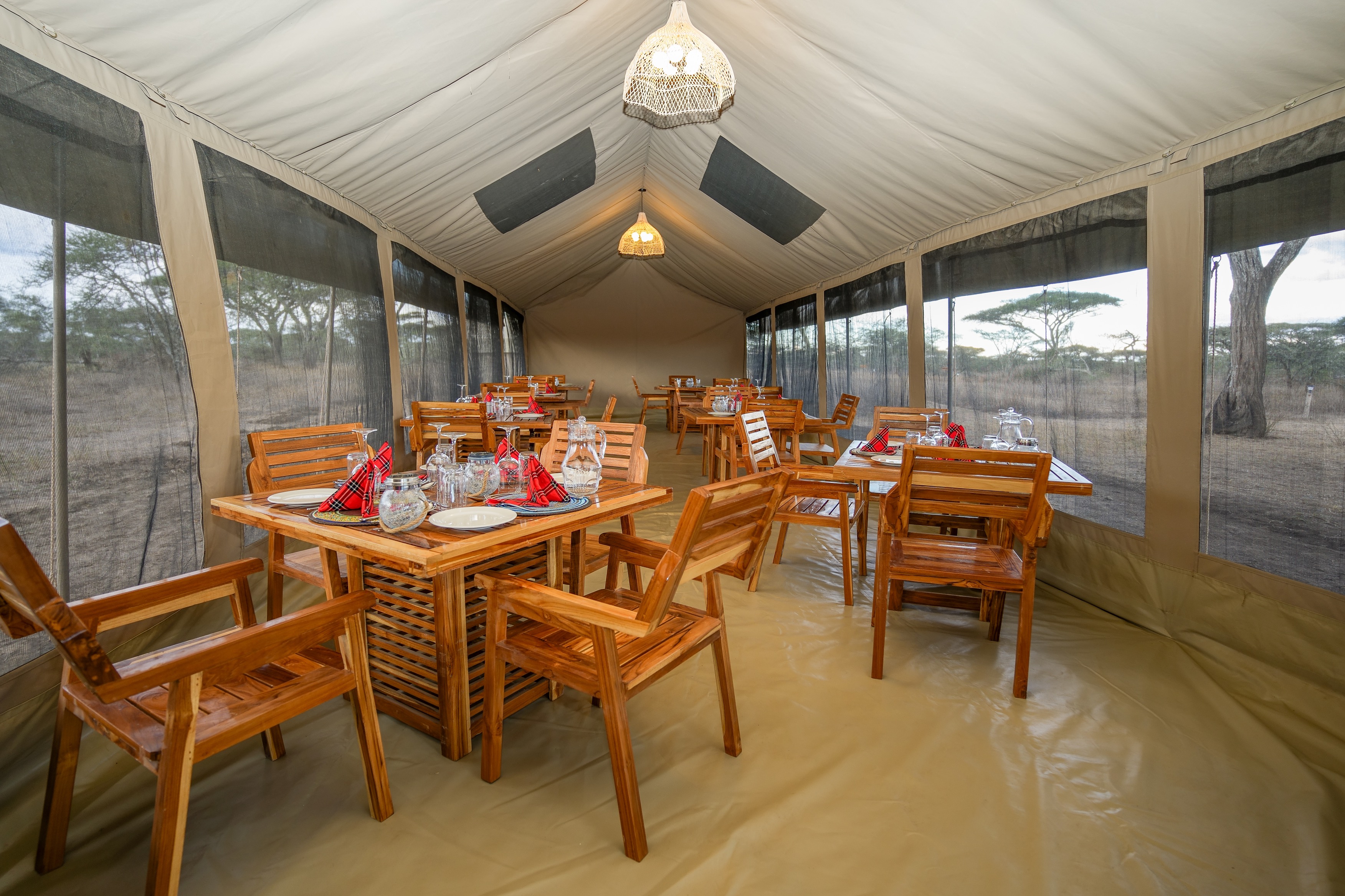 Seasonal migration camp atmosphere in the Serengeti